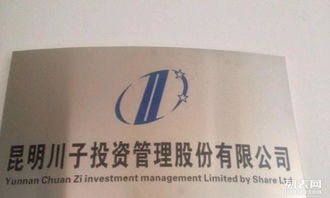 昆明川子投资管理咨询公司 专业投资咨询服务的引领者