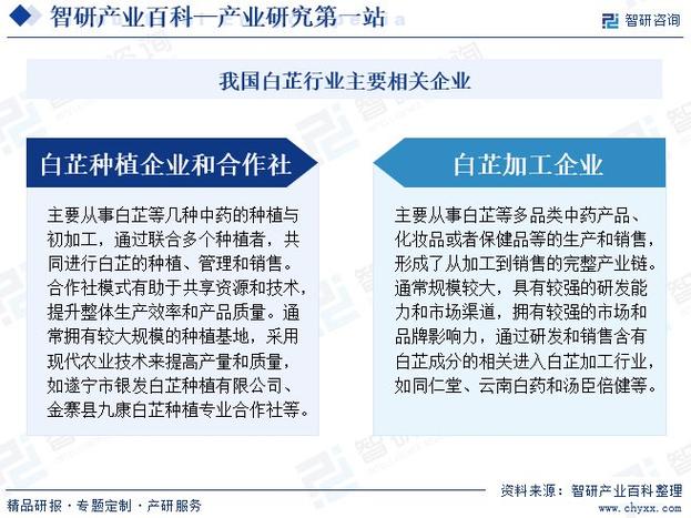 智研咨询发布:白芷行业市场动态分析,发展方向及投资前景分析报告